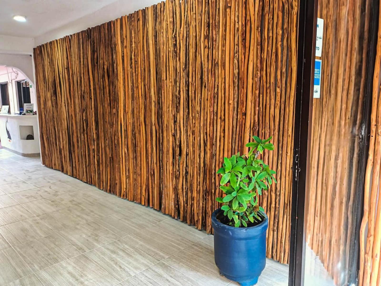 Hotel Masam إيسلا موخيريس المظهر الخارجي الصورة